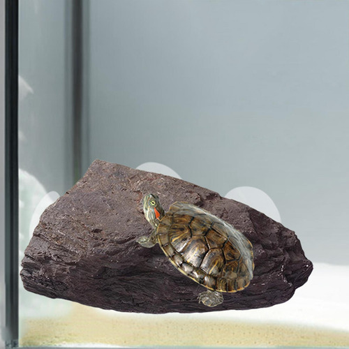 De Tortuga De De Tortuga De De Escalada Roca Artificial