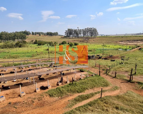 Imagem 7 de 21 de Fazenda - Fa00002 - 69904513