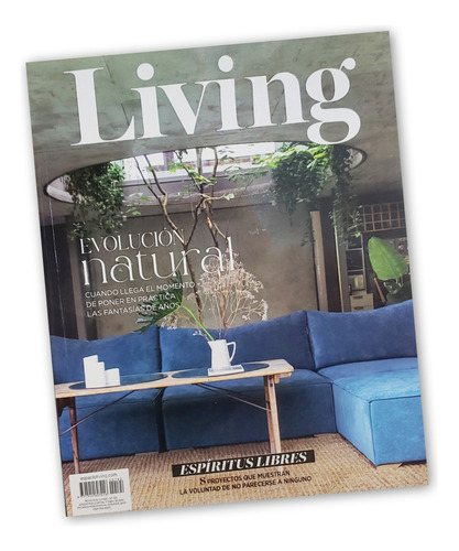 Revista Living Del Mes Vigente Al Momento De La Compra 