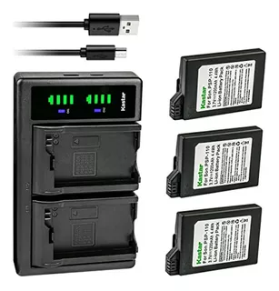 Batería Y Cargador Usb Compatible Con Psp-2000 A Psp-3010.