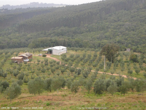 Imagem 7 de 15 de Oportunidade Para Investidor Para Venda Em Barra Do Ribeiro, Alto Douradilho - Barra Do Ribeiro - Rs, 6 Dormitórios, 1 Suíte, 5 Banheiros, 5 Vagas - 4014_1-2043950