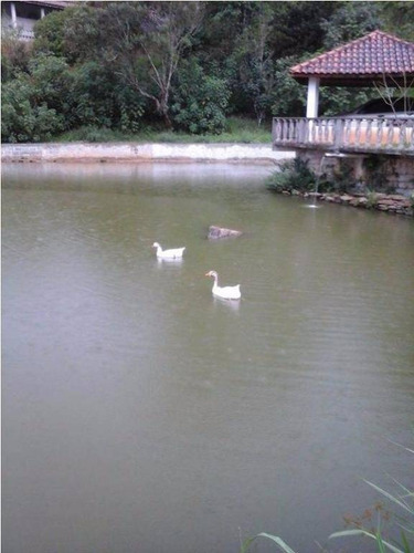 Imagem 16 de 29 de Chácara Residencial À Venda, Taquarí, São José Dos Campos. - Ch0053