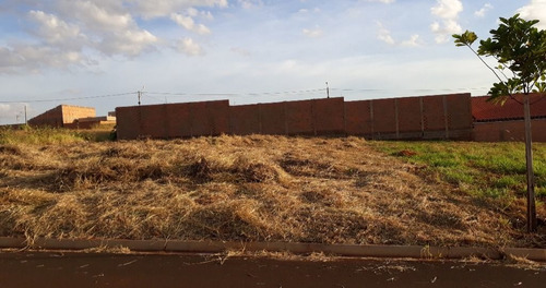 Imagem 6 de 9 de Terreno À Venda, 287 M² Por R$ 90.000 - Centro - Brodowski/sp - Te0262