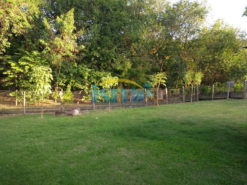 Imagem 9 de 13 de Chácara No Guará Em Barão Geraldo 3120m². - Ch00286 - 69819240