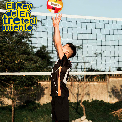 Imagen 4 de 4 de Pelota Volleyball Expert Nº5 Oficial Voley Playa - El Rey