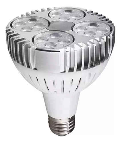 Foco Ampolleta Par30 35w E27 5500k Luz Fría (tipo Philips)