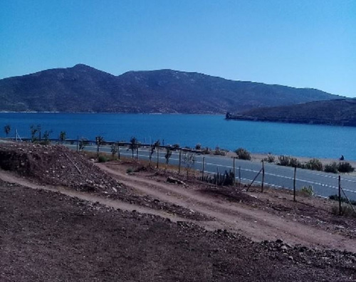 Imagen 6 de 21 de Sitio En Arriendo En Ovalle