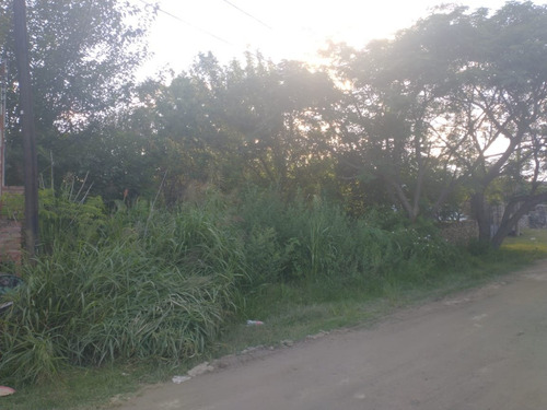 Imagen 2 de 6 de Lote Con Bajada Al Rio