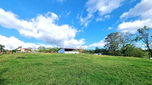 Finca En Mata De Plátano, Goicoecha, El Maná