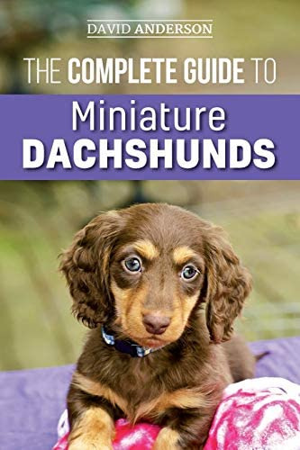 Libro: The Complete Guide To Miniature Dachshunds: A Guide