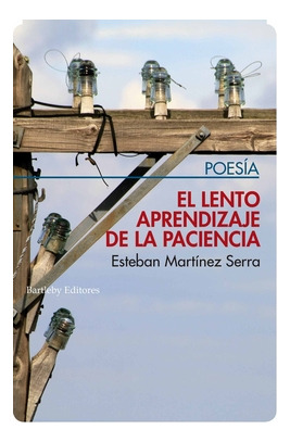 Libro El Lento Aprendizaje De La Paciencia De Bartleby