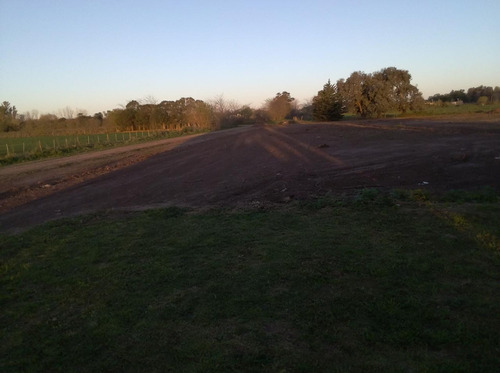 Lote En Venta 4200m2 Carmen De Areco, Oportunidad!