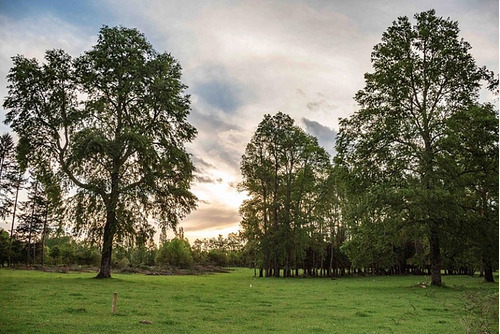 Parque Casa Campo