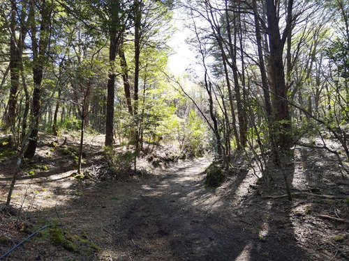 Terrenos 5.000 M2 Sector Las Tinajas, Malalcahuello