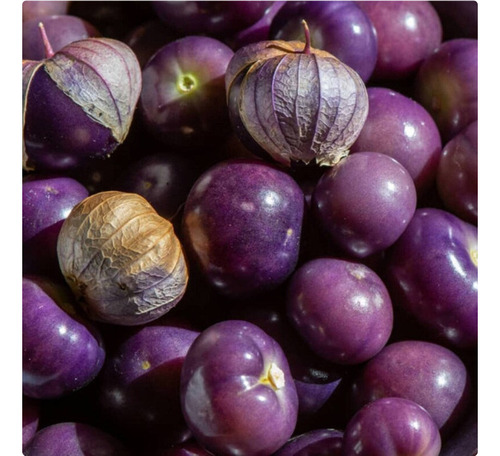 200 Semillas De Tomatillo Morado
