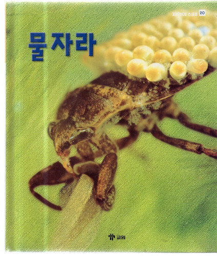 El  Misterio De La Naturaleza  Libro En Coreano Usado