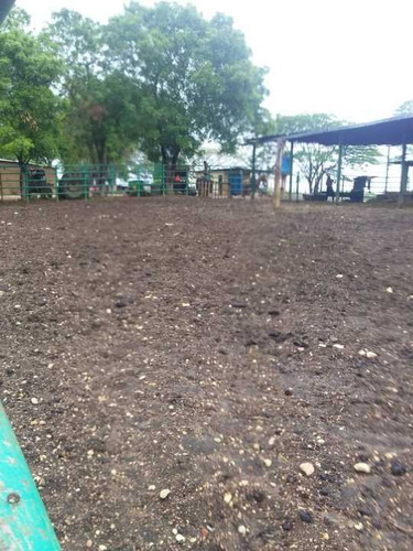 Imagen 10 de 14 de Finca 2.500 Hectáreas En Guárico, Vía El Sombrero