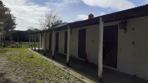 Campo C/ Caballerizas Y Casa Colonial - Villa Elisa