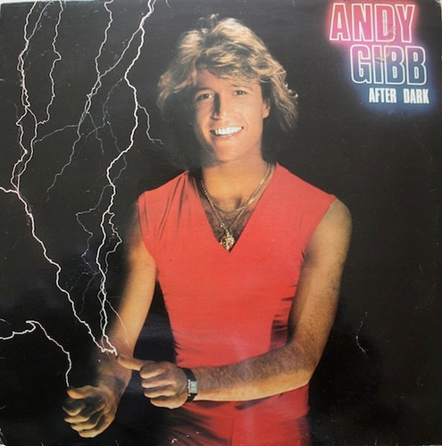 Andy Gibb Su Último Álbum After Dark Usa* Vinilo Como Nuevo*