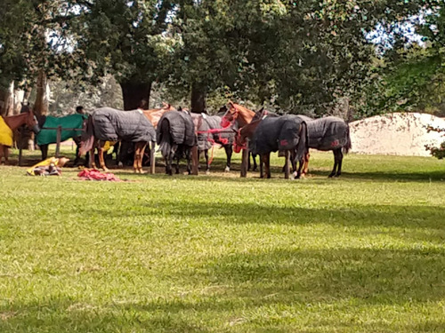 Terreno Con Añosa Arboleda Orientación Norte, A La Cancha De Polo.