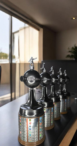 Miniatura Troféu Libertadores Da América 2024 Com Expositor Prateado