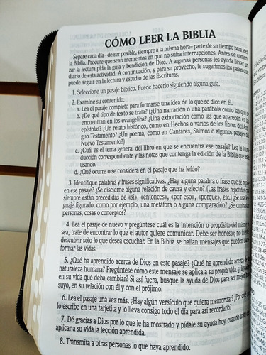 Imagen 7 de 8 de Biblia Rvr1960 Let Gde Imit Piel León Café Cierre Con Índice