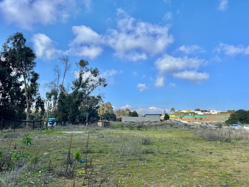 Oportunidad: Terrenos En Los Maitenes, Maitencillo