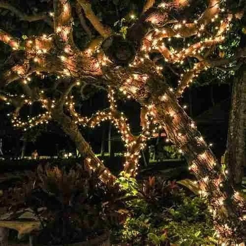 Imagen 3 de 7 de Guirnalda De Luces 300 Led Calidas Boda Matrimonio 22m