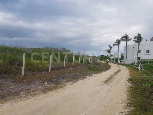 En Venta Excelente Terreno Para Inversión En Puerto Morelos  C3105