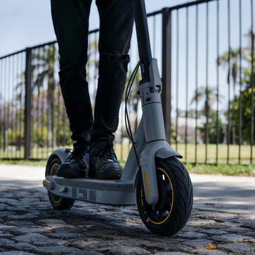Monopatín Segway Max G30lp Scooter Eléctrico Ninebot
