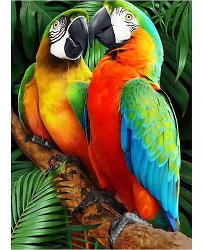 5d Diamond Painting Kit Pintura Diamante cacatua