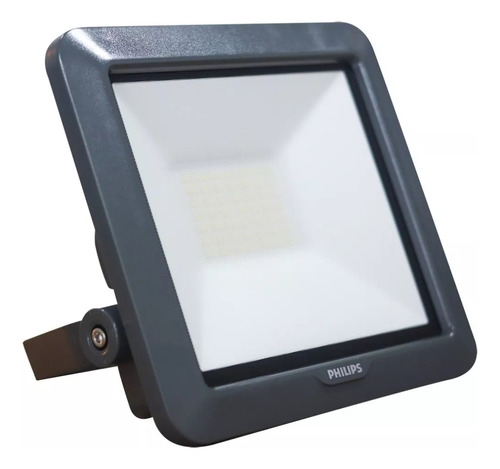 Reflector Led 100w Philips Industrial 6500k Luz Fria