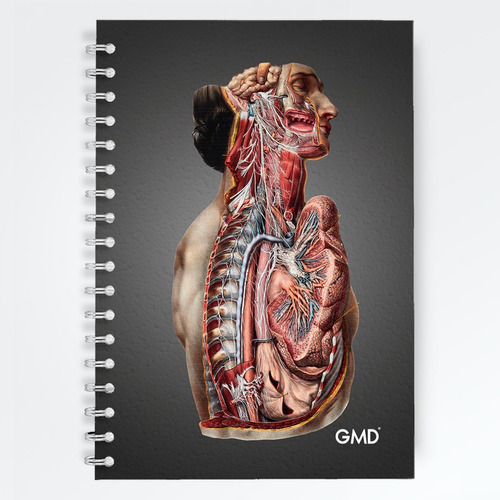 Cuaderno Agenda Para Enfermería Y Medicina 120 Hojas Gmd