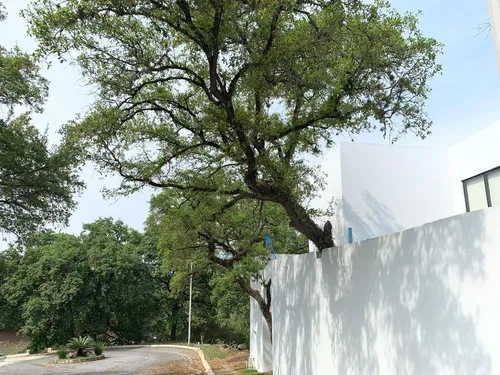 Casa En Venta En Bosque Residencial Santiago Nuevo Leon