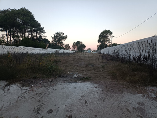 Oportunidad Para Constructores E Inversores En Terreno Unico