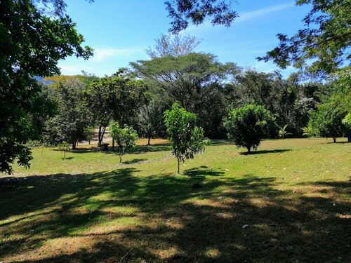 Imagen 3 de 11 de Terrena De 1 Hectárea Con Casa