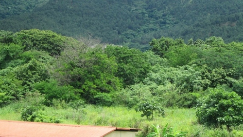 Imagen 13 de 21 de Terreno Con Proyecto Comercial Aprobado 5.917m2 Código 139296 Vende Yackeline Tovar 04145831984