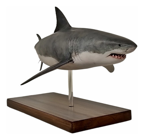 Escultura De Tiburón Blanco Hembra Adulta A Escala