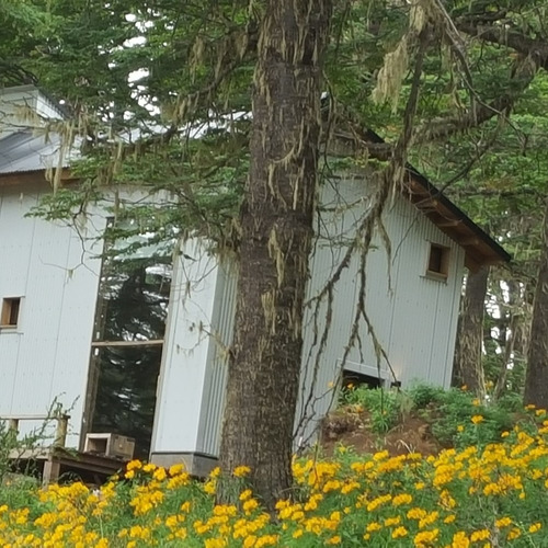 Complejo 4 Casas - Las Pendientes - Chapelco - Neuquen