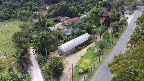 Imagem 9 de 30 de Chácara 2048m2, Casa Sede, Loja, Depósito, Viveiro De Plantas Com Estufa, Acesso Asfaltado, Poço Caipira, Ótima Localização - Ch00256 - 70814196