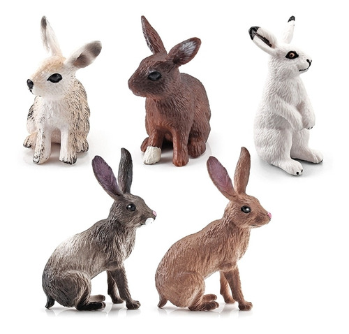 5 Modelos De Conejo Modelos De Conejo 