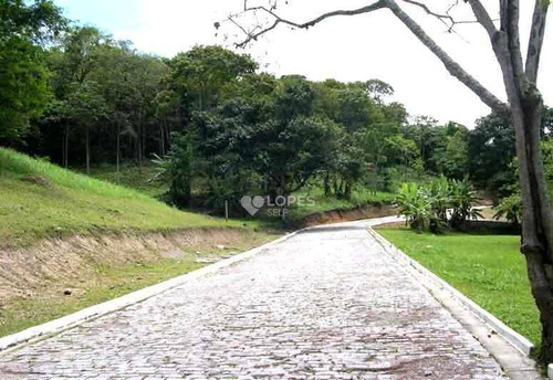 Imagem 2 de 17 de Terreno À Venda, 1001 M² Por R$ 290.000,00 - Piratininga - Niterói/rj - Te2694