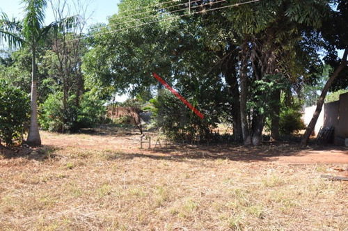 Imagem 6 de 16 de Terreno Para Empreendimento - 145028-v