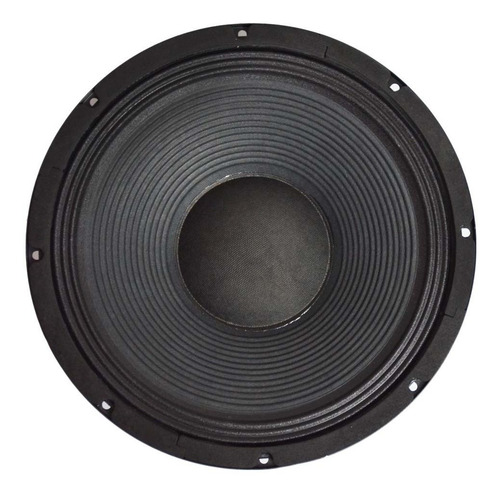 Parlante / Altavoz 12 Pulgadas 300w 8omhs Alta Potencia