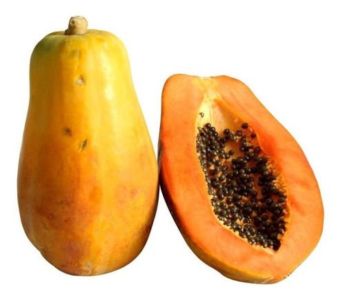  Frutal De Papaya Maradol