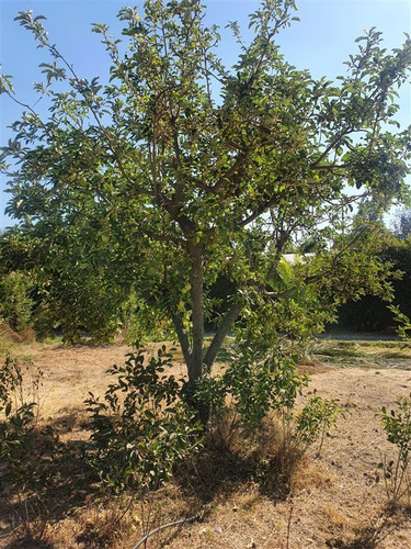 Imagen 10 de 22 de Venta Lote En Pirque 875m2 Sector Urbano, Rol Propio