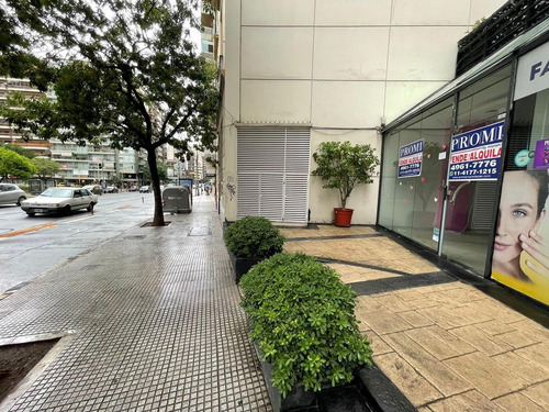 Imagen 4 de 26 de Local - Barrio Norte