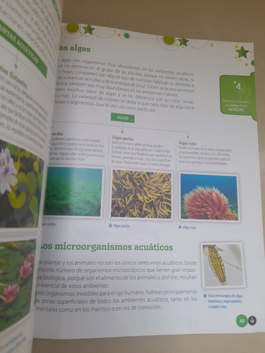 En Orbita 5 Ciencias Naturales Puerto De Palo (Usado)