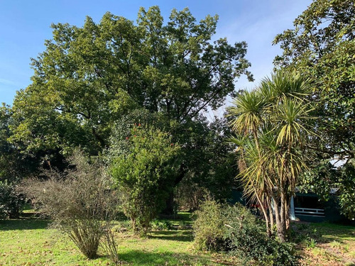 Imagen 9 de 26 de Quinta En Venta- Pilar