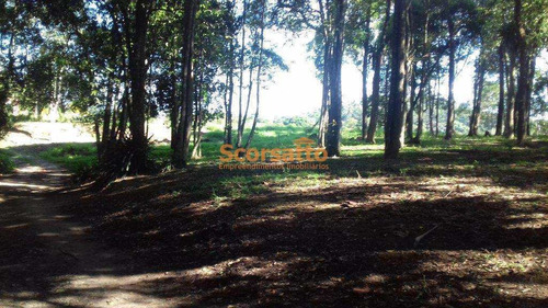 Chácara Com 3 Dorms, Itaquaciara, Itapecerica Da Serra - R$ 1.1 Mi, Cod: 3132 - V3132